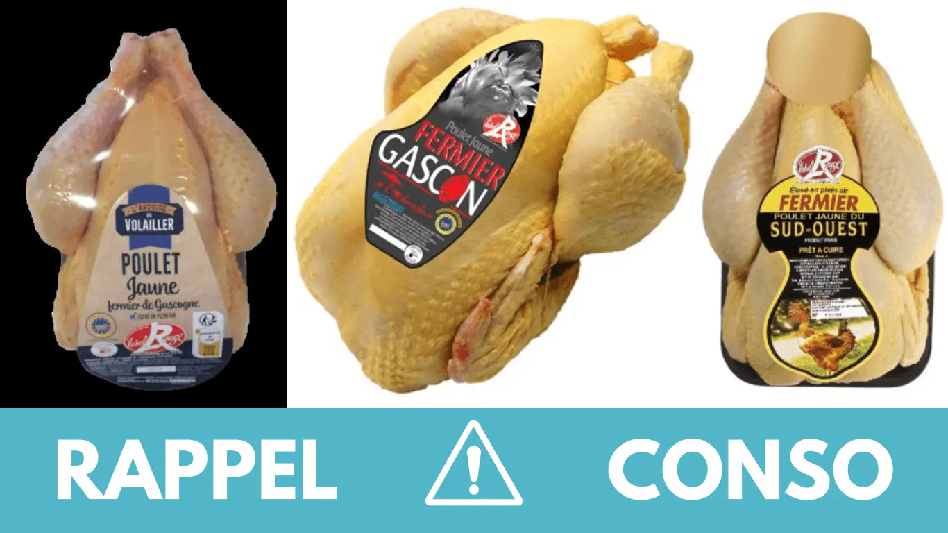 Rappel produit : de nombreux poulets fermiers