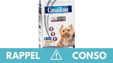 Rappel produit : croquettes pour chien