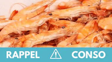 Rappel produit : crevettes sauvages entières