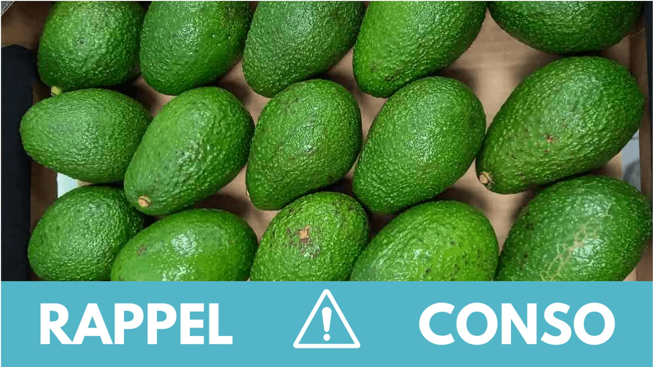 Rappel conso : avocats