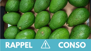 Rappel conso : avocats