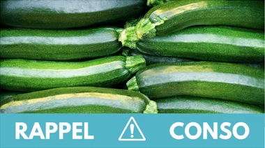 Rappel conso : courgettes