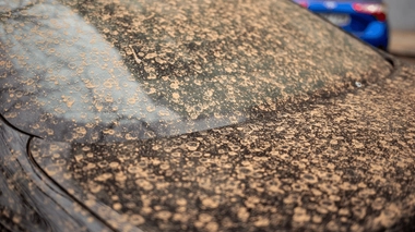 Le sable du Sahara arrivera France ce week-end