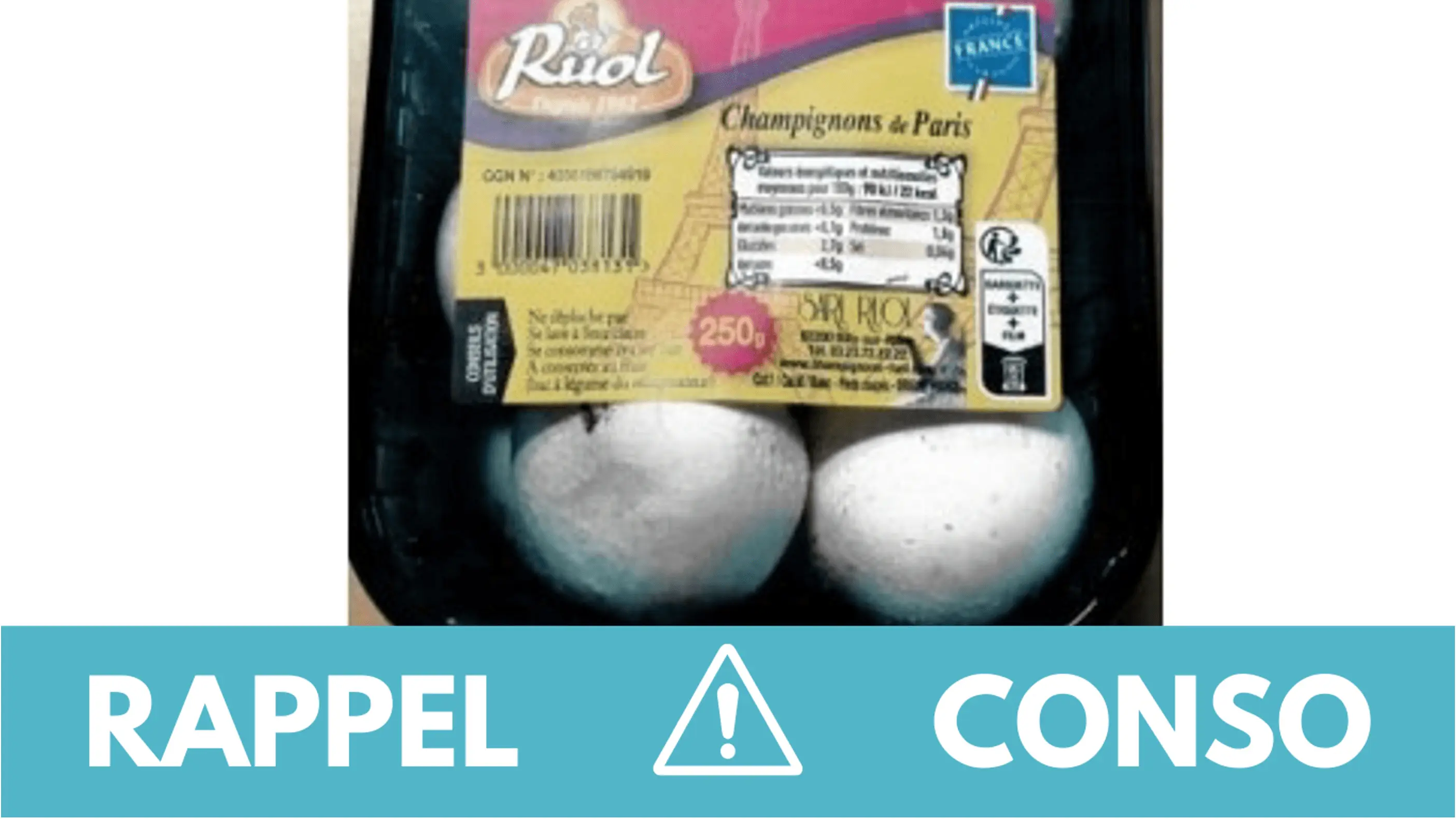 Rappel conso : champignons de Paris