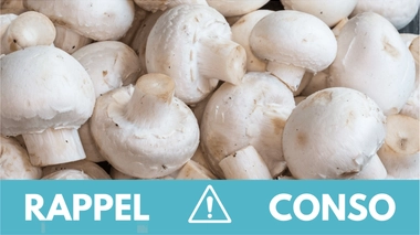 Rappel conso : champignons de Paris