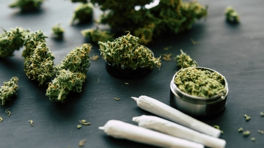 Le Rosin est un produit concentré beaucoup plus riche en cannabinoïdes et en terpènes, des composants chimiques qui multiplient les effets psychologiques du cannabis