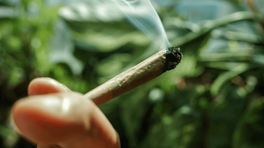 Quels sont les effets du cannabis sur le cerveau ?