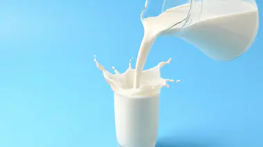 Le lait, un aliment riche en graisses