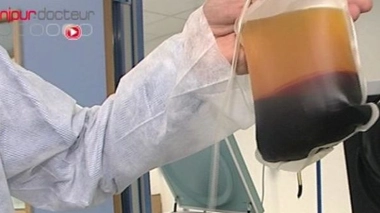 Du sang jeune pour rajeunir les cerveaux