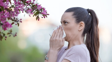La moitié de la population mondiale devrait développer des allergies d’ici 2050 selon l'OMS