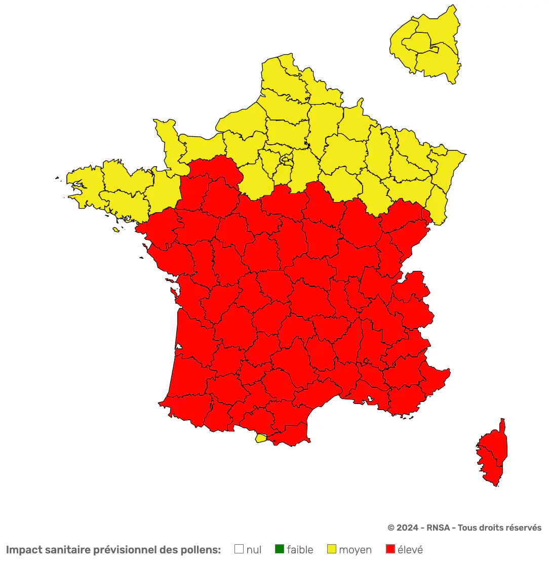 Carte du Risque d'Allergie aux Pollens mise à jour le 13 mai