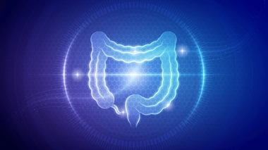 La maladie de Hirschsprung est une pathologie rare qui touche l'intestin