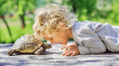 De plus en plus "d'animaux de compagnie non traditionnels (ACNT)" rejoignent les foyers des Français