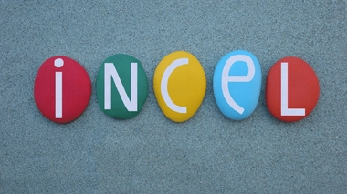 Qui sont les "incels" et que revendiquent-ils ?