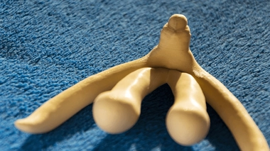 Comment fonctionnent les érections féminines et masculines ?