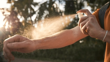 Prise électrique, lotions, sprays, huiles essentielles, bracelets… Les moustiques sont partout. 