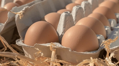 Combien de temps est-il possible de conserver ses oeufs ?