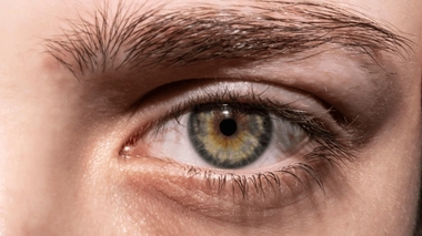 La couleur des yeux est due à l'iris