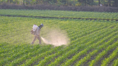 Quels sont les effets des pesticides sur la santé ?