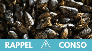 Risque de diarrhées et de vomissements : ne consommez pas ces moules