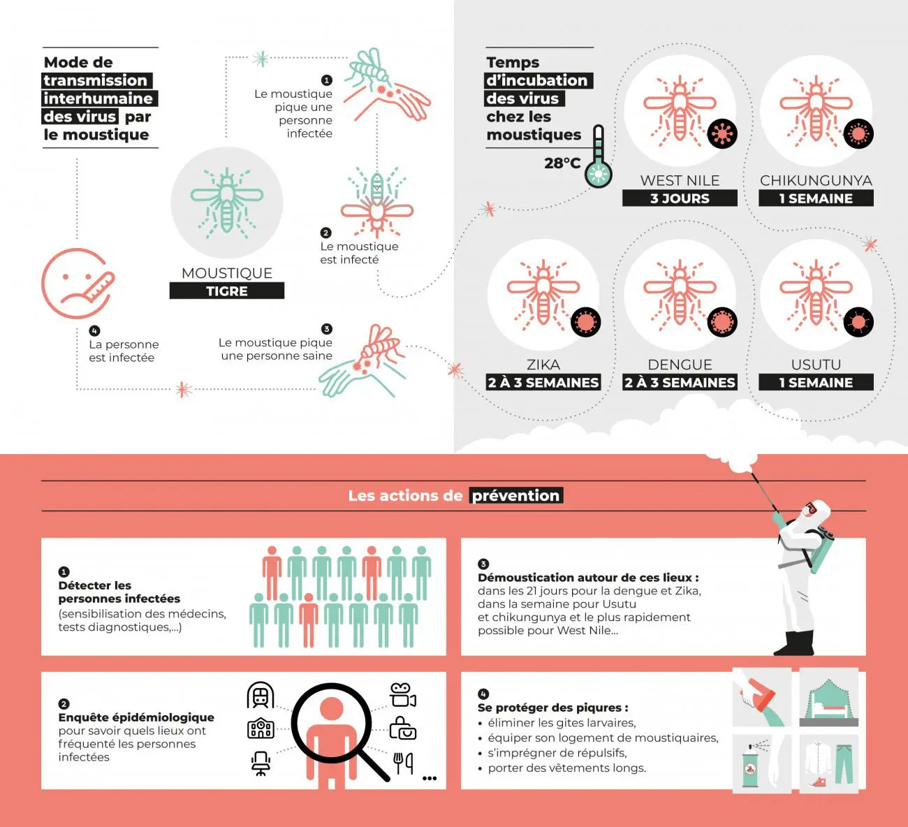 Différentes actions de prévention sont prévues pour lutter contre la prolifération des moustiques tigres
