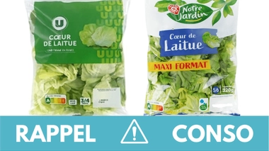 Rappel conso : salades en sachet