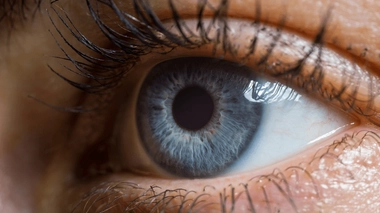 Le mélanome uvéal est un cancer rare de l'oeil