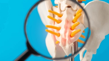 Le coccyx est un os situé à l'extrémité de la colonne vertébrale