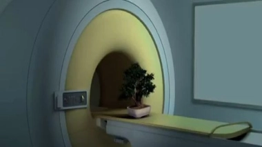 Le lymphome, ce cancer méconnu