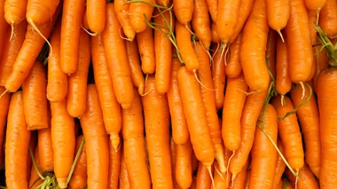 Les carottes sont plus riches que la normale en sucres, en particulier les glucides