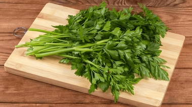 Persil plat ou frisé, on vous explique la différence