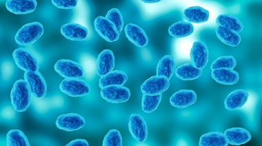 La coqueluche, maladie bactérienne hautement contagieuse, est souvent bénigne, mais peut entraîner des complications graves