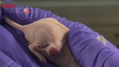 Un marqueur sanguin pour détecter la dépression