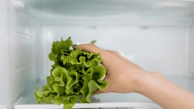 La salade verte au quotidien est-elle recommandée ?