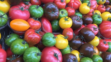 Quels sont les bienfaits de la tomate ?