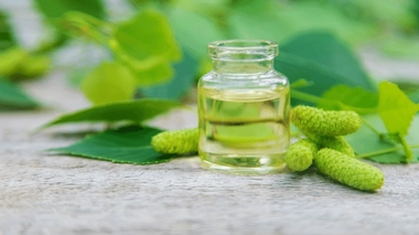 La sève de bouleau possède plusieurs bienfaits