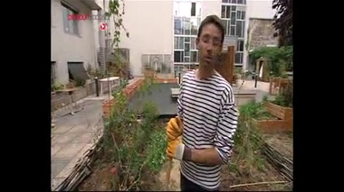 Jardiner c'est bon pour la santé