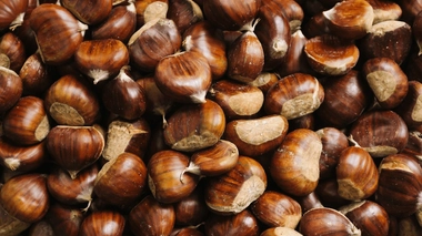 Les châtaignes, un fruit de saison excellent pour la santé