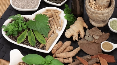 Les plantes qui vous donneront du tonus