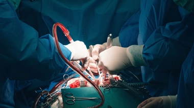 Comment limiter le risque de rejet d'un greffon