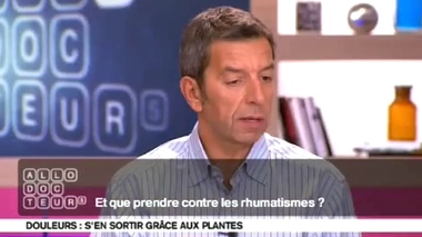 Plantes anti-douleurs : contre les rhumatismes ?