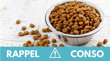 Rappel conso : croquettes chien et chat