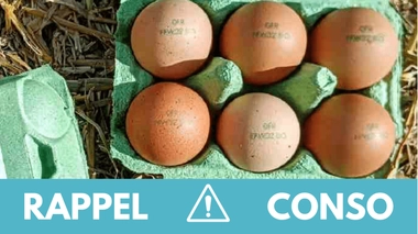 Rappel conso : oeufs