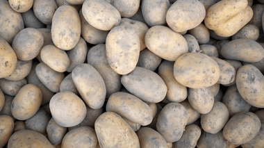 Pour placer vos pommes de terre au congélateur, blanchissez-les