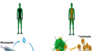 Le Nobel de médecine 2011 décerné à trois chercheurs