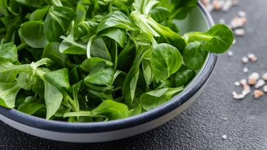 La mâche présente plusieurs avantages pour la santé