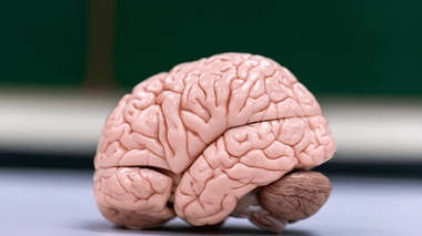 Le syndrome cérébelleux est une atteinte au niveau du cervelet