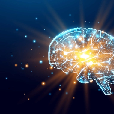 Le cerveau est organisé en réseaux de neurones