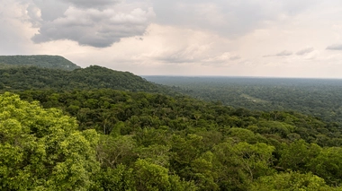 Il perd 25 kilos... mais survit un mois seul dans la jungle