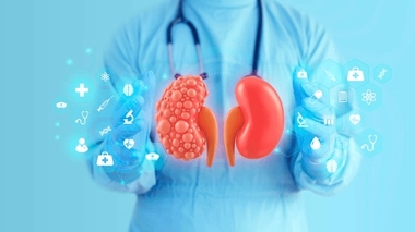 La polykystose rénale se caractérise par l'apparition de kystes dans les reins